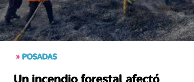 Un incendio forestal afectó más de 20 hectáreas y movilizó a bomberos y fuerzas de seguridad