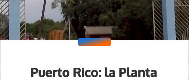 Puerto Rico: la Planta Municipal de Biodiesel ya produjo 75 mil litros y lanzan un nuevo ecocanje